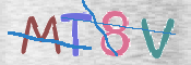 CAPTCHA 驗證圖片