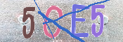 CAPTCHA 驗證圖片