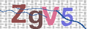 CAPTCHA 驗證圖片