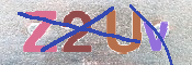 CAPTCHA 驗證圖片