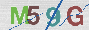 CAPTCHA 驗證圖片