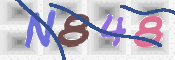 CAPTCHA 驗證圖片