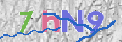 CAPTCHA 驗證圖片