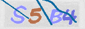 CAPTCHA 驗證圖片