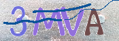 CAPTCHA 驗證圖片