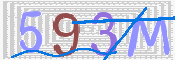 CAPTCHA 驗證圖片