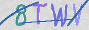 CAPTCHA 驗證圖片