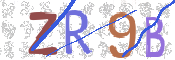 CAPTCHA 驗證圖片