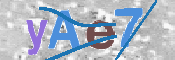 CAPTCHA 驗證圖片