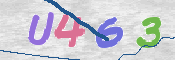 CAPTCHA 驗證圖片