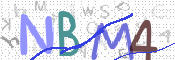 CAPTCHA 驗證圖片