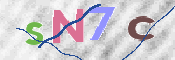 CAPTCHA 驗證圖片
