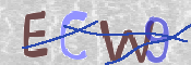 CAPTCHA 驗證圖片