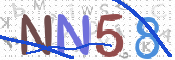 CAPTCHA 驗證圖片