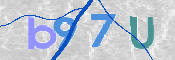 CAPTCHA 驗證圖片