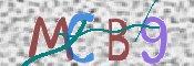 CAPTCHA 驗證圖片