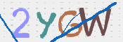CAPTCHA 驗證圖片