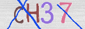 CAPTCHA 驗證圖片