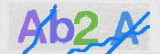 CAPTCHA 驗證圖片