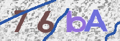 CAPTCHA 驗證圖片