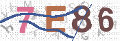 CAPTCHA 驗證圖片