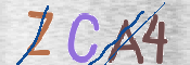 CAPTCHA 驗證圖片
