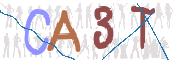 CAPTCHA 驗證圖片