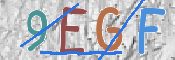 CAPTCHA 驗證圖片