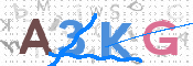 CAPTCHA 驗證圖片