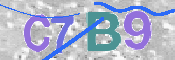 CAPTCHA 驗證圖片