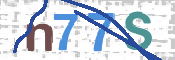 CAPTCHA 驗證圖片
