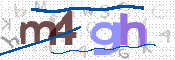 CAPTCHA 驗證圖片