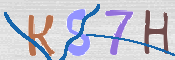 CAPTCHA 驗證圖片