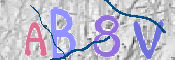 CAPTCHA 驗證圖片