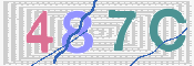 CAPTCHA 驗證圖片