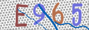 CAPTCHA 驗證圖片
