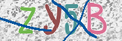 CAPTCHA 驗證圖片