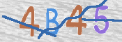 CAPTCHA 驗證圖片