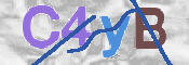 CAPTCHA 驗證圖片