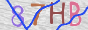 CAPTCHA 驗證圖片