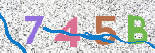 CAPTCHA 驗證圖片