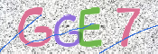 CAPTCHA 驗證圖片