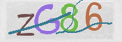 CAPTCHA 驗證圖片