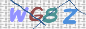 CAPTCHA 驗證圖片