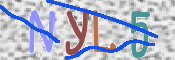 CAPTCHA 驗證圖片