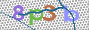 CAPTCHA 驗證圖片