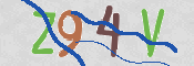 CAPTCHA 驗證圖片