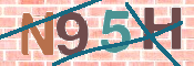 CAPTCHA 驗證圖片