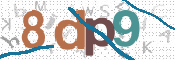 CAPTCHA 驗證圖片