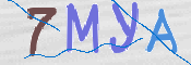 CAPTCHA 驗證圖片